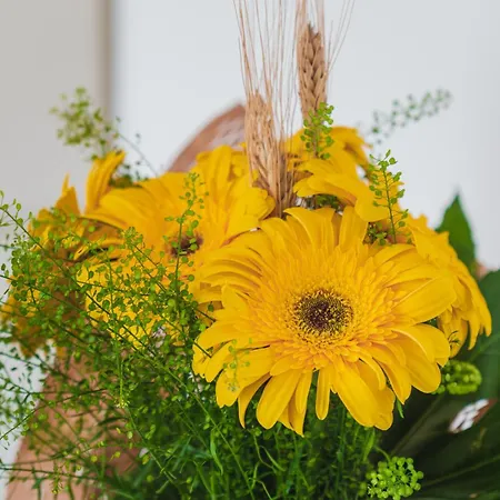 Apartament La Casa Di Dodo *